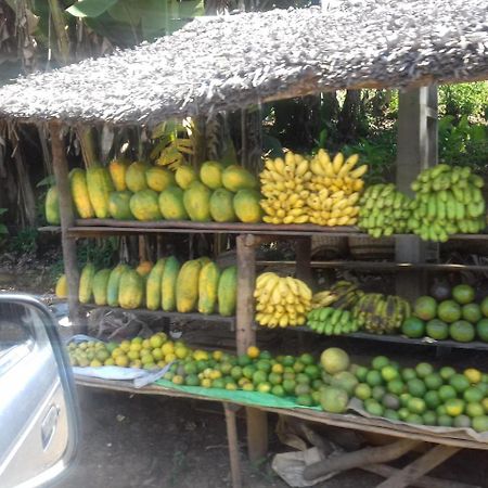 Auberge Le Maki Lodge Ampangorinana المظهر الخارجي الصورة