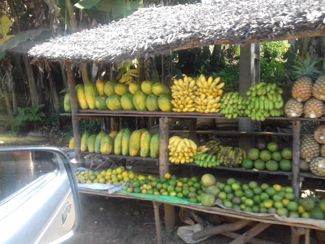 Auberge Le Maki Lodge Ampangorinana المظهر الخارجي الصورة