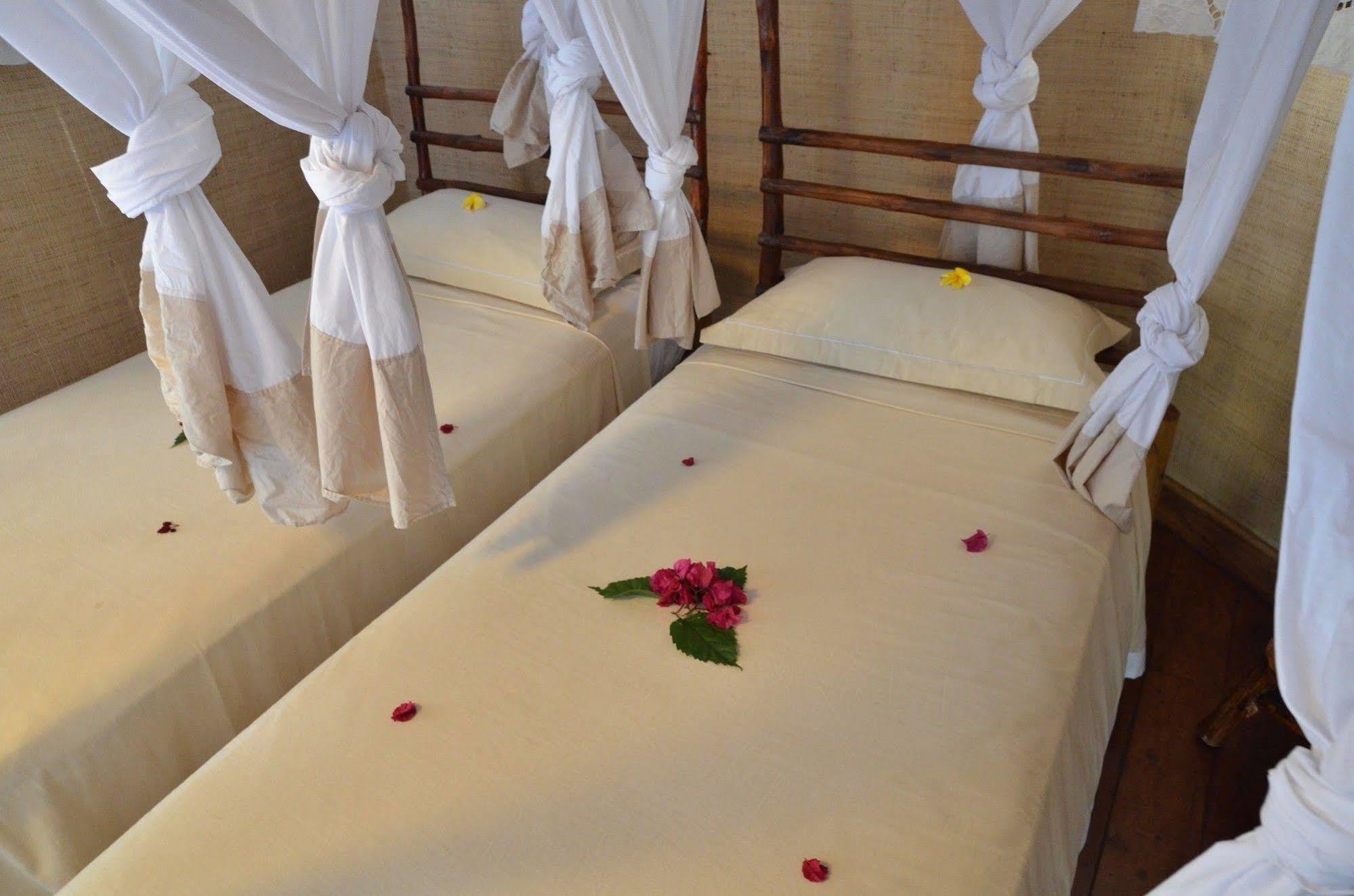 Auberge Le Maki Lodge Ampangorinana المظهر الخارجي الصورة